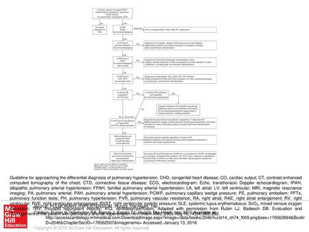 Guideline for approaching the differential diagnosis of pulmonary hypertension. CHD, congenital heart disease; CO, cardiac output; CT, contrast-enhanced.