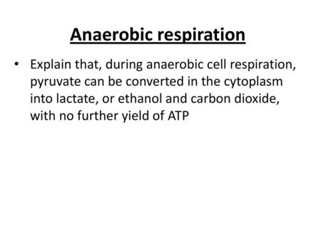 Anaerobic respiration