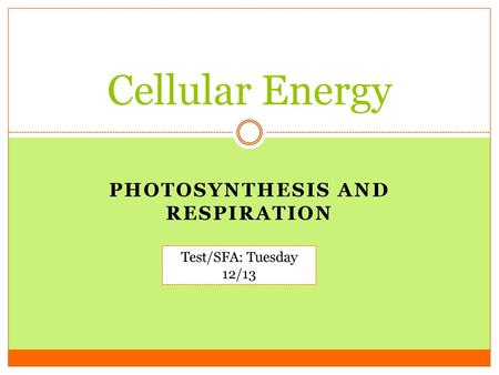 Photosynthesis and Respiration