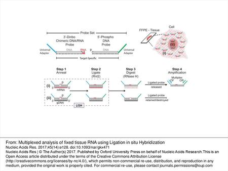 Figure 1. Workflow of the LISH assay. Step 1