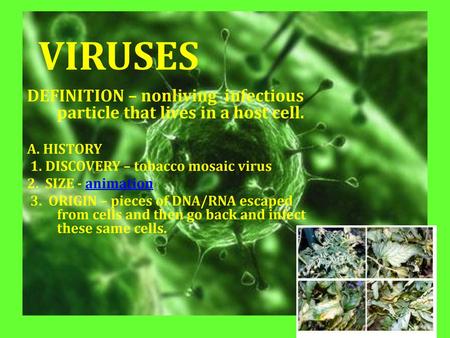 VIRUSES DEFINITION – nonliving infectious particle that lives in a host cell. A. HISTORY 1. DISCOVERY – tobacco mosaic virus 2. SIZE - animation 3.