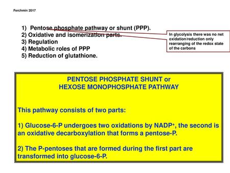 PENTOSE PHOSPHATE SHUNT or HEXOSE MONOPHOSPHATE PATHWAY