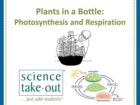 Plants in a Bottle: Photosynthesis and Respiration