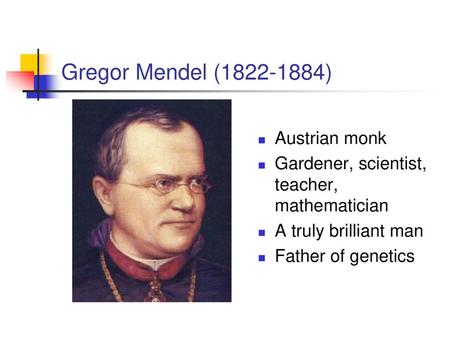 Gregor Mendel ( ) Austrian monk