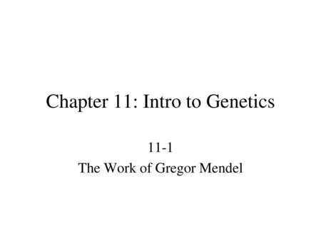 Chapter 11: Intro to Genetics