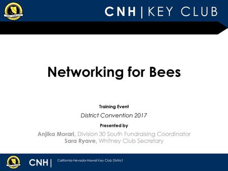 Networking for Bees District Convention 2017