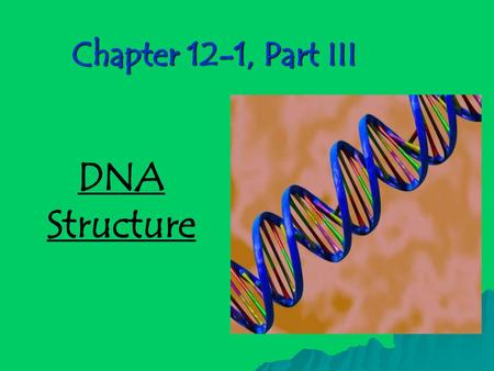 Chapter 12-1, Part III DNA Structure.