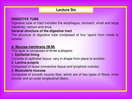 Lecture Six DIGESTIVE TUBE