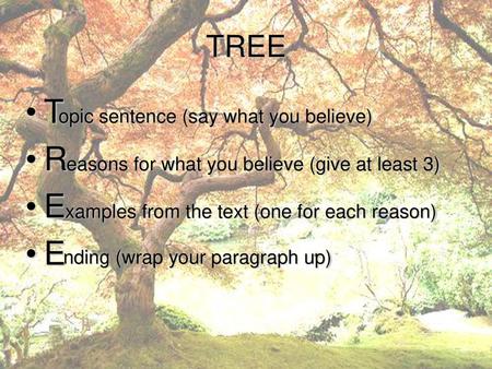 T R E TREE opic sentence (say what you believe)