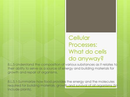 Cellular Processes: What do cells do anyway?