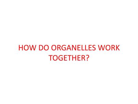 HOW DO ORGANELLES WORK TOGETHER?