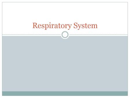 Respiratory System.