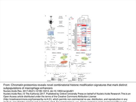 Figure 1. Distinct chromatin regions isolated by the N-ChroP strategy