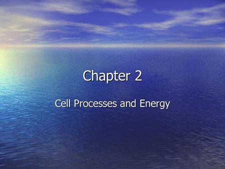 Cell Processes and Energy