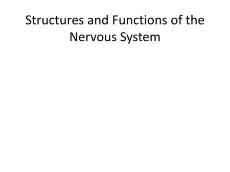 Structures and Functions of the Nervous System