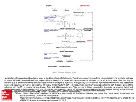 Metabolism of mevalonic acid and early steps in the biosynthesis of cholesterol. The structures and names of the intermediates in the synthetic pathway.