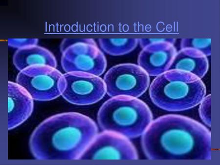 Introduction to the Cell