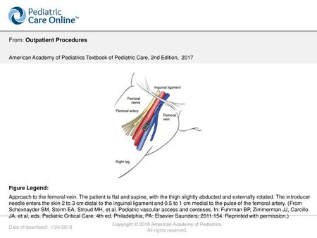 Copyright © 2018 American Academy of Pediatrics.