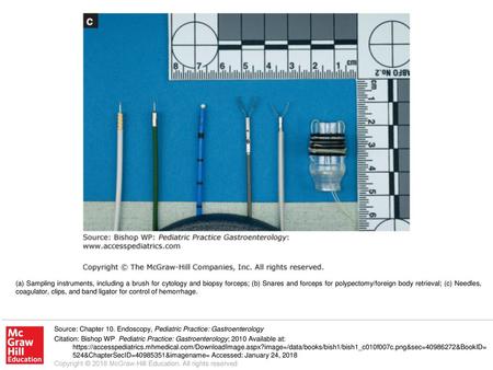 (a) Sampling instruments, including a brush for cytology and biopsy forceps; (b) Snares and forceps for polypectomy/foreign body retrieval; (c) Needles,