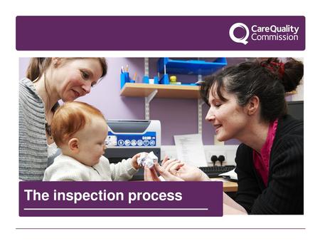 The inspection process