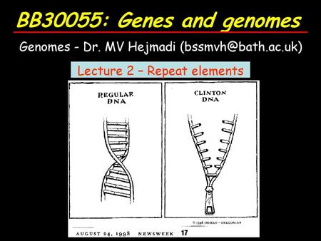 Lecture 2 – Repeat elements