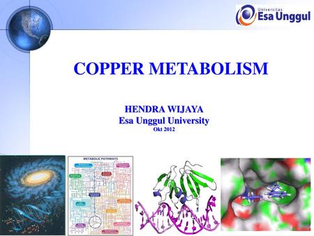 COPPER METABOLISM HENDRA WIJAYA Esa Unggul University Okt 2012.