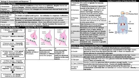 Biology 5: Homeostasis and Response