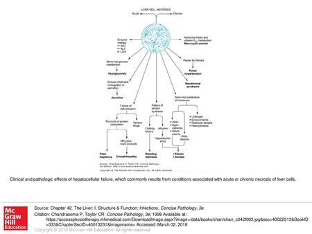 Clinical and pathologic effects of hepatocellular failure, which commonly results from conditions associated with acute or chronic necrosis of liver cells.