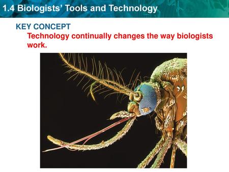 KEY CONCEPT Technology continually changes the way biologists work.