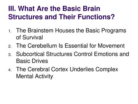 III. What Are the Basic Brain Structures and Their Functions?