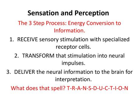 Sensation and Perception