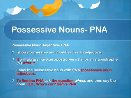 Possessive Nouns- PNA Possessive Noun Adjective- PNA