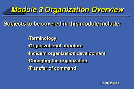 Module 3 Organization Overview