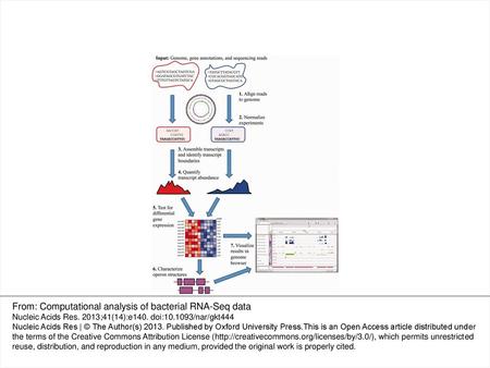 From: Computational analysis of bacterial RNA-Seq data