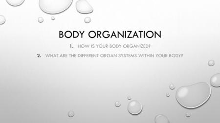 Body Organization How is your body organized?