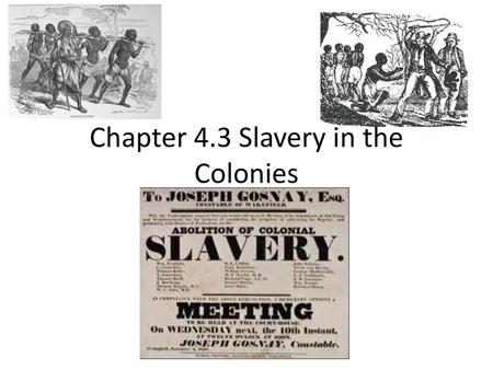 Chapter 4.3 Slavery in the Colonies