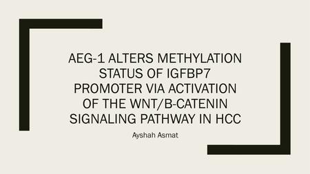 AEG-1 ALTERS methylation status of IGFBP7 promoter via activation of the Wnt/β-catenin signaling pathway in HCC Ayshah Asmat.