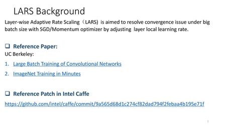 LARS Background Reference Paper: Reference Patch in Intel Caffe