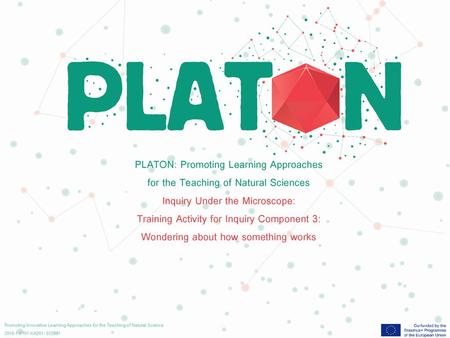 PLATON: Promoting Learning Approaches