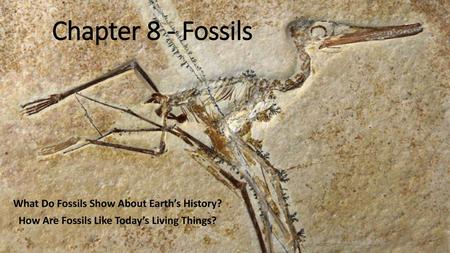 Chapter 8 - Fossils What Do Fossils Show About Earth’s History?