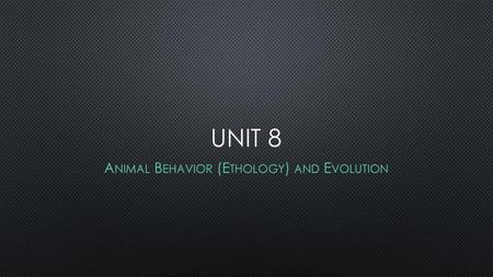 Animal Behavior (Ethology) and Evolution