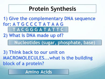 Nucleotides (sugar, phosphate, base)