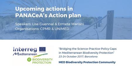 Upcoming actions in PANACeA’s Action plan