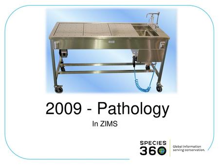 2009 - Pathology In ZIMS.