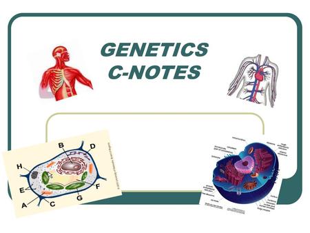 GENETICS C-NOTES.