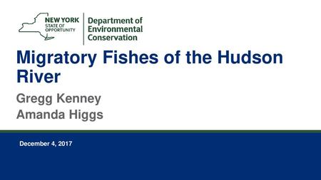 Migratory Fishes of the Hudson River