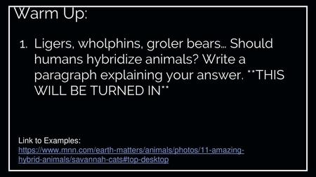 Warm Up: Ligers, wholphins, groler bears… Should humans hybridize animals? Write a paragraph explaining your answer. **THIS WILL BE TURNED IN** Link to.