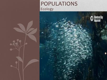 Populations Ecology.