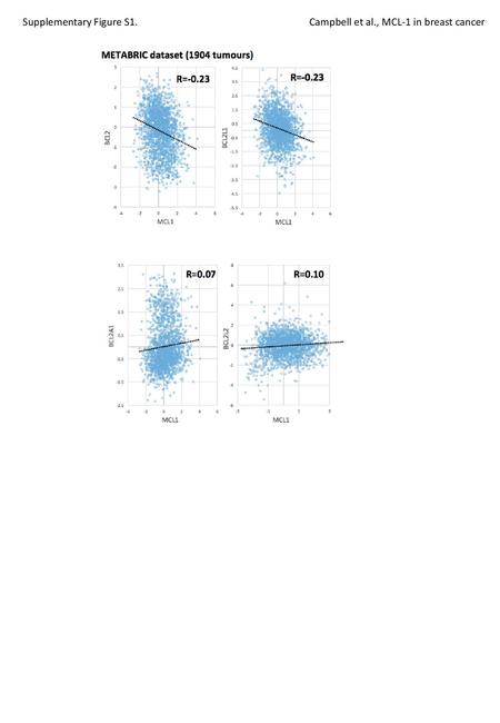 Supplementary Figure S1.