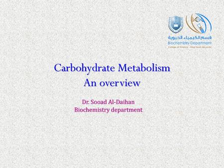 Carbohydrate Metabolism An overview